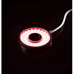 RGBW ILLUMINATION - LSW2